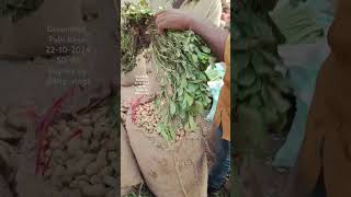 Groundnut palli Kaya peanut 🥜 today bowenpally vegetable market farmersmarket streetfood dty vlog [upl. by Lengel]