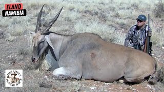 Hunt for 1900 Pound Eland in Namibia [upl. by Ahseeyt]