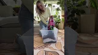 HIGH QUALITY potting soil perlite orchid bark Mix well 🤌🏻 Happy growing planttips soil diy [upl. by Akitan]