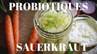 Probiotiques Sauerkraut  Legumes LactoFermentés ENGLISH SUBS [upl. by Dian]