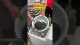 鳜鱼公分苗使用现场鱼苗计数器水产养殖 Pseudopangasius nasutus Penaeus monodon Cyprinus carpio Clarias [upl. by Enived]