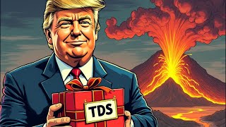 2024 Election Meltdown Navigating the TDS Epidemic [upl. by Acile]