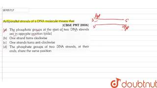 Antiparallel strands of a DNA molecule means that [upl. by Malinda635]