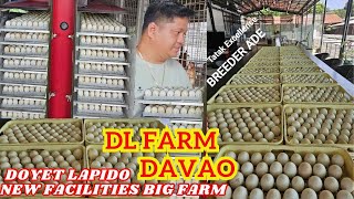 New Facilities Beautiful Big Farm Davao Philippines Doyet Lapido DL FARM [upl. by Suidaht]