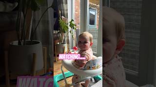 What is the worlds CUTEST baby watching shorts cutebaby funny [upl. by Nilhtac]