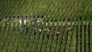 Moseldalen i Tyskland BernkastelKues Romantiska Mosel  Turism [upl. by Ahsyek]