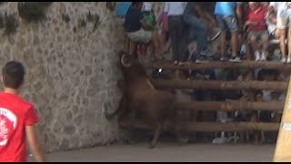 SALTARÁ   Encierro por las calles Moratilla de los Meleros 2017 [upl. by Ramon648]