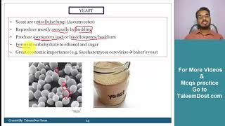 Biology Chapter 8 part 2  Free Video Lectures of FScMDCATUniversity Entry TestsExams [upl. by Aticilef]