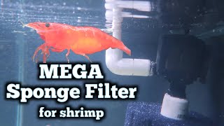 NEW Shrimp Tank Filter Build  Hang on Back Turbo Charged Double Monster Sponge Filter [upl. by Biamonte404]