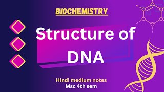 Dna structure  msc 4th sem  biochemistry hindi medium notes exam mscnotes chemistry [upl. by Nnylirej]