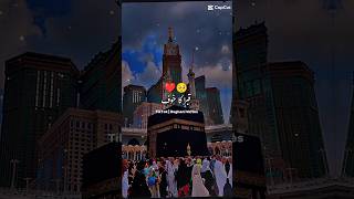 Heart Touching Naat  NAATEMUSTAFA  Kaleem Waris  Lyrical Video  Islamic Releasesshorts 💞 [upl. by Veda]