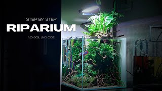 RIPARIUM BUILD VIDEO  STEP BY STEP  AQUASCAPING TUTORIAL  NO CO2 [upl. by Anelav]