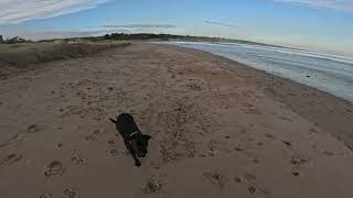 Lunan Bay walk [upl. by Schreck661]