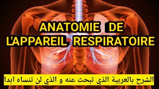 Comprendre facilement l’anatomie et la physiologie de lappareil respiratoire 🫁 [upl. by Linette]