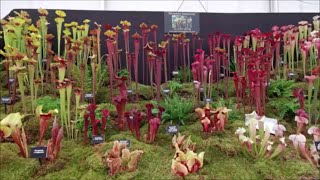 Gardeners World Live 2024 Walk Round Tour [upl. by Schonthal]