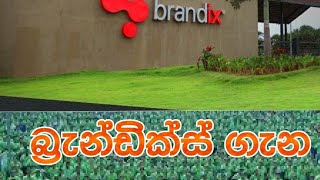 බ්‍රැන්ඩික්ස් ගැනAbout Brandix [upl. by Uamak]