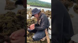 Fresh abalone of bulalacao mindoro🥰😋 abalone trendingvideo [upl. by Hutner]