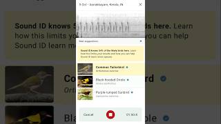 ശബ്ദം കേട്ട് പക്ഷികളെ തിരിച്ചറിയാന്‍  Merlin Bird Sound ID Tutorial  eBird  shorts [upl. by Ewald]
