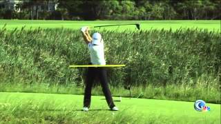 Rory Mcilroy rips it 350 yards slow motion pro analysis afterwards [upl. by Lehcim]