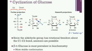 075Cyclization of Sugars [upl. by Thorwald557]