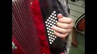 The Piano Accordion Standard 48 Bass Layout Explained  Hobgoblin Music Birmingham [upl. by Amahs]