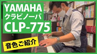 YAMAHA クラビノーバCLP775音色ご紹介 [upl. by Latnahs]