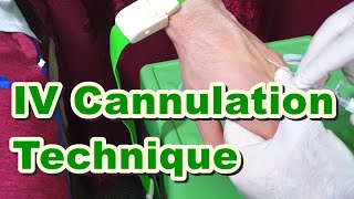 How to Insert IV Cannula  IV Cannulation Technique  Branula  Intravenous Catheter [upl. by Els431]