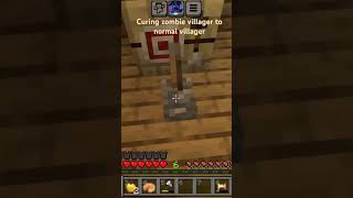 Curing zombie villager to normal villager in my worldminecraft viralvideos trending gaming mcpe [upl. by Nicolea]