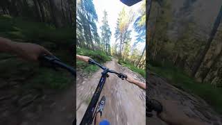 high speed flowtrail Baron pt3 at Klínovec Czech Republic ebike emtb enduromtb insta360 enduro [upl. by Mariette282]