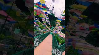 Colorful Flags amp Melodies 🌉🎵 Lachung River Bridge shorts fyp spb arrahman kschithra [upl. by Atiuqaj]