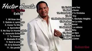 Ector AcostaEl torito bachata mix [upl. by Aneerol782]