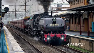 6029 Garratt Steam Locomotive leads HUGE consist with 4501 4201 amp 4916 Enroute to Bathurst NSW [upl. by Ultima]