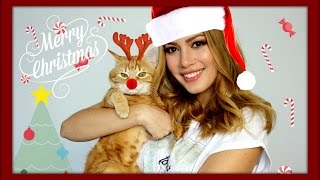 Get Christmas ready with me Animation stop motion  funnypilgrim [upl. by Aay]