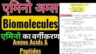 अमीनो अम्ल In HindiAmino Acid ClassificationFunction Of Amino Acids And Peptides एमिनो एसिड L2 [upl. by Enyledam449]