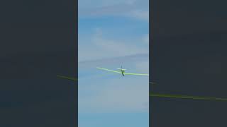 Musger MG 19b  31m scale RC glider LANDING rcglider rcaerotow [upl. by Wera]