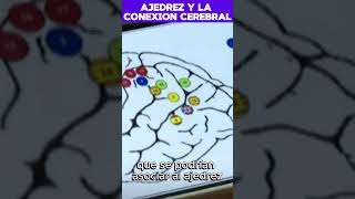 ¡Paciente Jugando Ajedrez Durante la Cirugía🧠♟️Operación Cerebral en Vivo noticiasdeajedrez chess [upl. by Nolla]