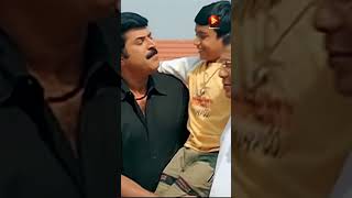 Pookkunnitha Mulla  Vajram Movie Song  Mammootty  P Jayachandran [upl. by Aramoy632]