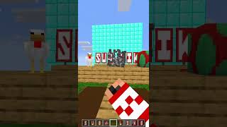 Minecraft Was ist schwerer [upl. by Hughmanick]