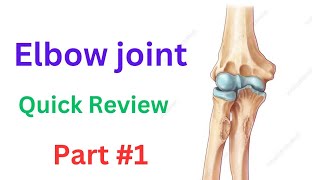 Elbow joint Anatomy  Muscles  ligaments Bones Motions Part1 [upl. by Petie961]