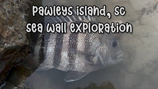 Pawleys Island SC Sea Wall ExplorationFishing [upl. by Otrevogir]