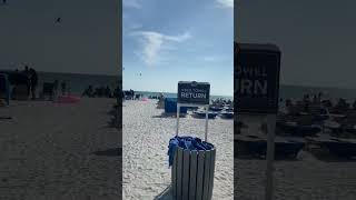 RumFish Beach Resort  By TradeWinds check in Beach and nightlife stpetersburg travel [upl. by Leund]