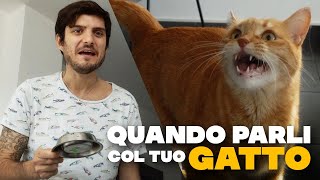 QUANDO PARLI COL TUO GATTO [upl. by Root]