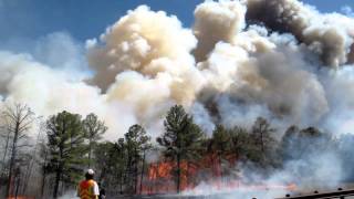 Bastrop Texas wildfire 09052011 [upl. by Eppie]