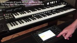 KETRON SD40 with WERSI Organ  Midi Set up [upl. by Ciredor]