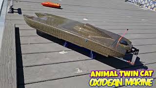 Wicked Fast Acceleration Animal Twin Cat rc boat on Rough Water [upl. by Zetana690]