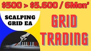 Scalping Grid EA MT4 Review and Backtest  FX STORE EA [upl. by Jania]