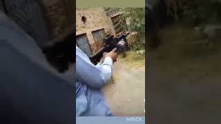 M4 shape 12 bore repeater test firing 50 rounds design gun weapon veloge [upl. by Inan]