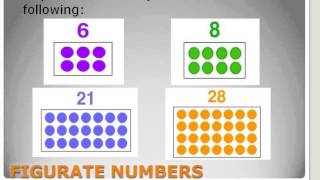 Mathematics for Grade 6 Rectangular Numbers [upl. by Blake638]