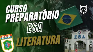 QUINHENTISMO  LITERATURA PARA A PROVA DA ESA [upl. by Aehtna391]