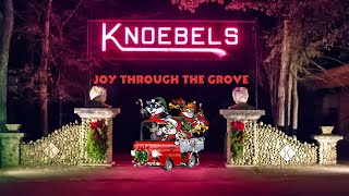 Knoebels Joy Through The Grove 2023 A Christmas Light Extravaganza [upl. by Leuamme764]